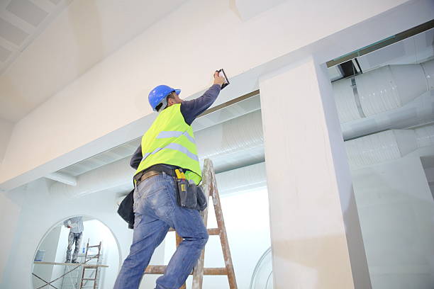 Best Biohazard Mold Removal  in Pecos, TX